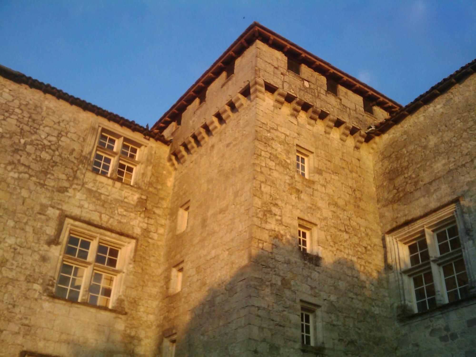 Chateau De Fourcès מראה חיצוני תמונה